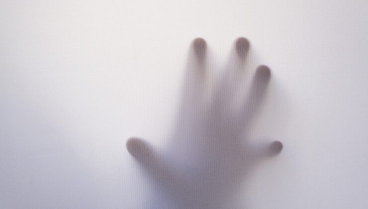 NSW,’DE 15 ERKEK 14 KADIN ÖLDÜ 63.018 vaka