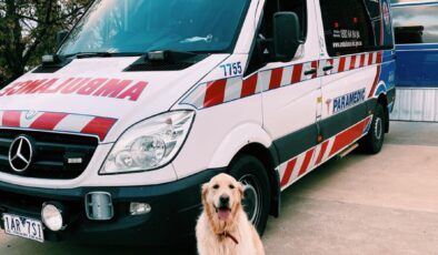 Hastaneye yatışlar en yüksek seviyeye yükseldi