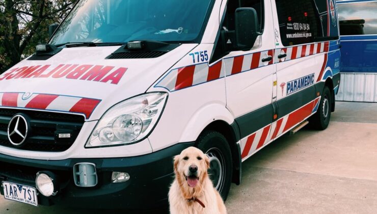 Hastaneye yatışlar en yüksek seviyeye yükseldi