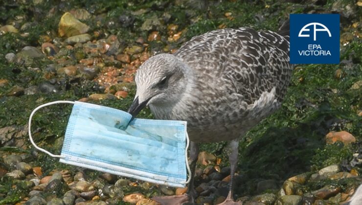 MASKE ÇEVRESEL BİR TEHDİT OLDU Geri dönüşüme atılır mı?