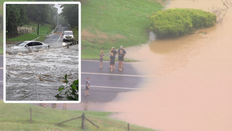 Seller iki can daha aldı DIŞARI ÇIKMAYIN UYARISI