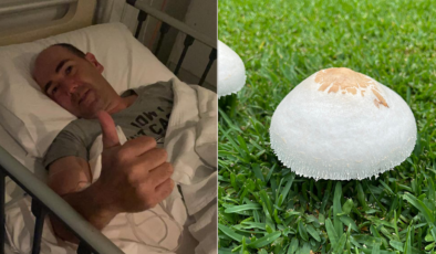 BAHÇESİNDEKİ MANTAR ÖLDÜRÜYORDU Mantar sezonu erken başladı DİKKAT!