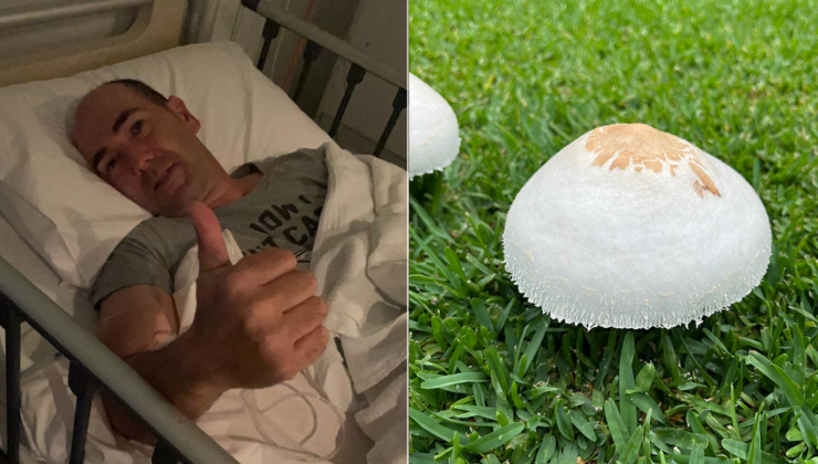 BAHÇESİNDEKİ MANTAR ÖLDÜRÜYORDU Mantar sezonu erken başladı DİKKAT!