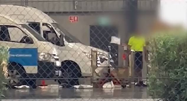 Australia Post özür diledi PAKETLERİ FIRLATIRKEN YAKALANDILAR