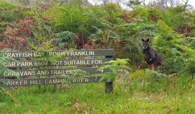 Bölgesel Victoria’yı ziyaret edenlere 200 dolarlık hediye kupon