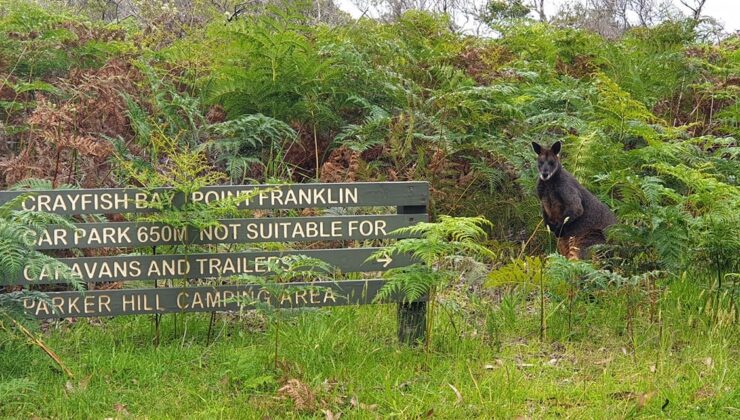 Bölgesel Victoria’yı ziyaret edenlere 200 dolarlık hediye kupon