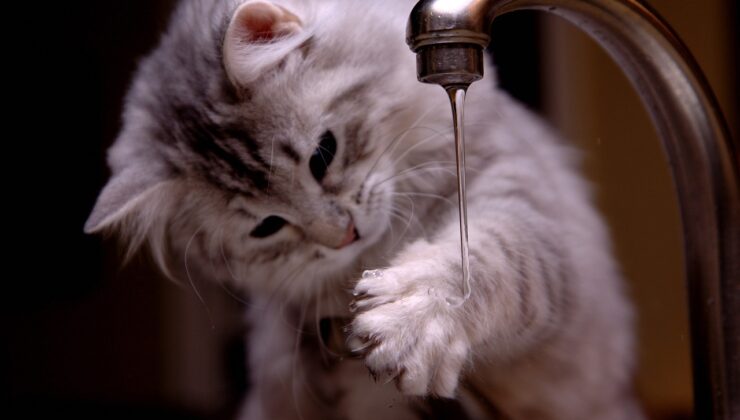 VICTORIA’DA MUSLUK SUYU UYARISI Kaynatmadan içmeyin!