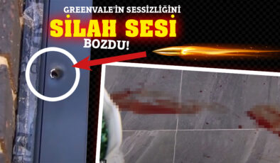GREENVALE’DE SİLAHLI SALDIRI ”Acil servisi arayın. Lütfen yardım edin.”