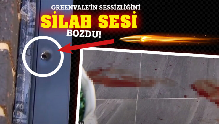 GREENVALE’DE SİLAHLI SALDIRI ”Acil servisi arayın. Lütfen yardım edin.”