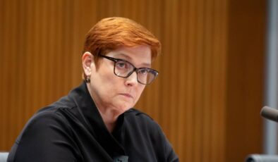 Marise Payne, Solomon Adaları ile görüştü