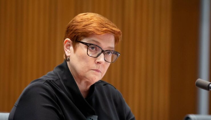 Marise Payne, Solomon Adaları ile görüştü