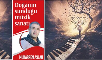 Ben doğayı müzik dinler gibi dinleme taraftarıyım