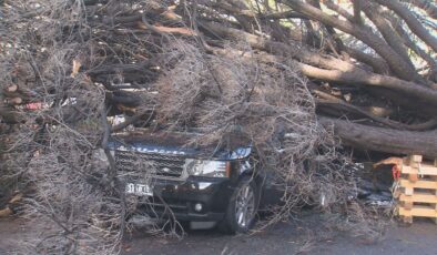 SOĞUK CEPHE AVUSTRALYA’YI kasıp kavuracak Tehlikeli rüzgarlar bekleniyor