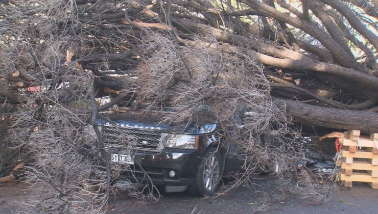SOĞUK CEPHE AVUSTRALYA’YI kasıp kavuracak Tehlikeli rüzgarlar bekleniyor