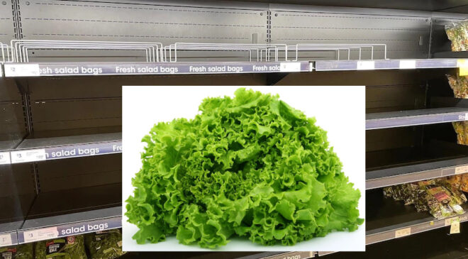 Neden marul kıtlığı var?Fiyatlar yakın zamanda düşecek mi?