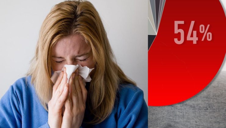 EN ÇOK GRİP VAKASI KAYDEDEN EYALET BELLİ OLDU