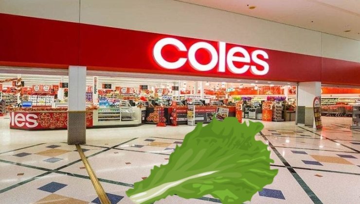 ‘MARUL YAPRAĞINA’ BASTI VE DÜŞTÜ Tazminat davası sonuçlandı