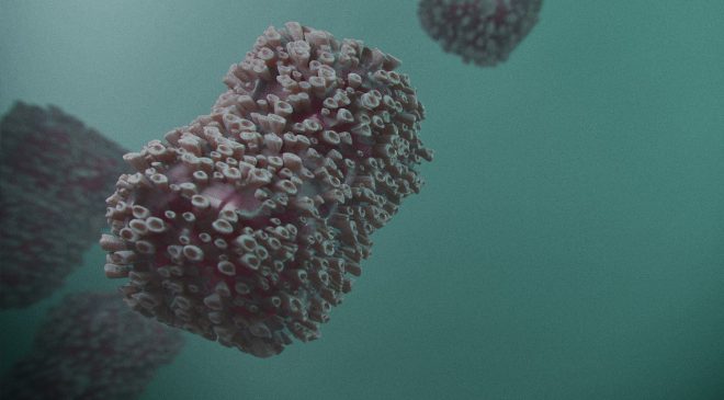 monkeypox vakaları büyüyor HERKESE BULAŞABİLİR Mİ?