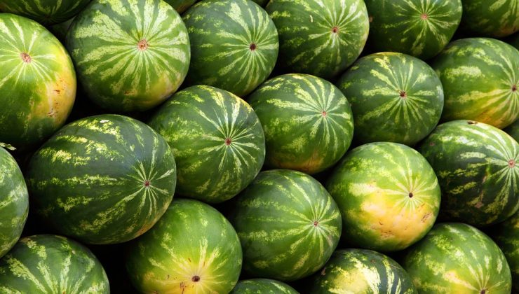 Karpuzlar neden pahalandı NE ZAMAN YEMELİ!