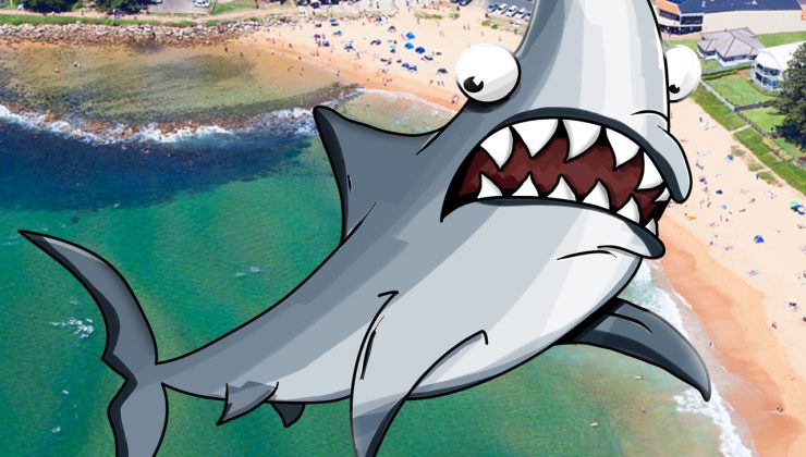Avustralya’da yine Köpekbalığı saldırısı