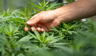 VICTORIA- ESRAR YaSaL OLSUN ÖNERİSİ