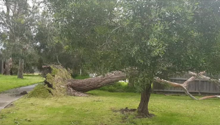 AGAÇLAR YERİNDEN SÖKÜLDÜ 119 km/s