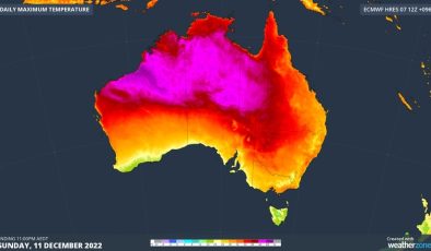 ‘Kavurucu sıcak’: Sıcaklıklar 48C’ye ulaştı