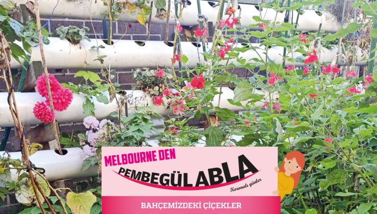 BAHÇEMİZDEKİ ÇİÇEKLER