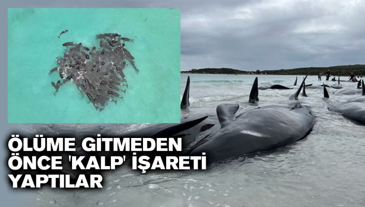 ÖLÜME GİTMEDEN ÖNCE ‘KALP’ İŞARETİ YAPTILAR