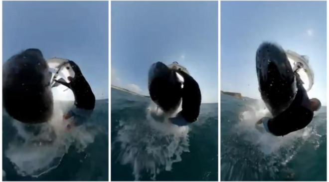 VAHŞİ KARŞILAŞMA ‘Ölmek böyle bir duygu’ diye düşündüm