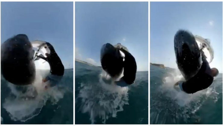 VAHŞİ KARŞILAŞMA ‘Ölmek böyle bir duygu’ diye düşündüm