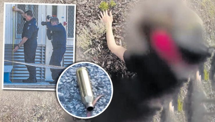 Okul çağındaki çocuk silahla ateş ettiğini itiraf etti