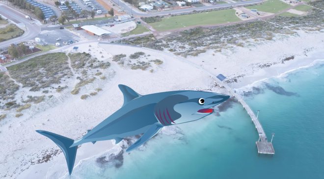 Beline kadar gelen suda köpek balığı saldırdı