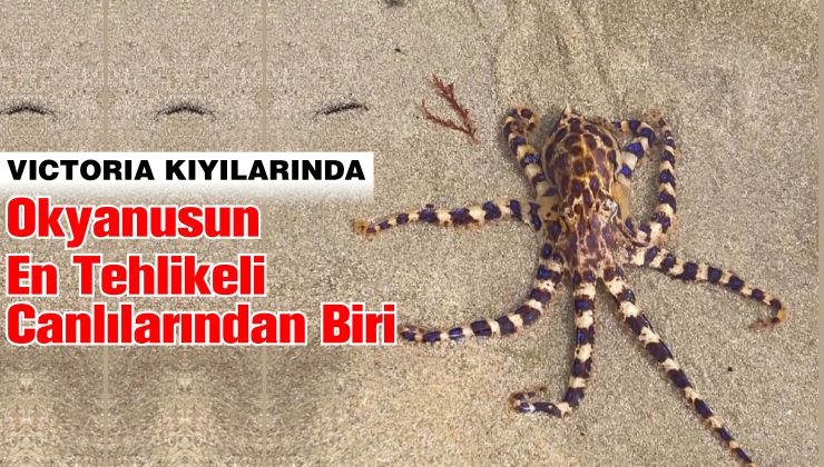 Ölümcül bir zehre sahip