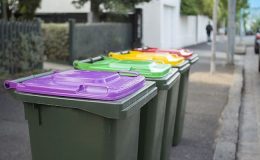 Victoria’da mor çöp kutusu dağıtımı devam ediyor
