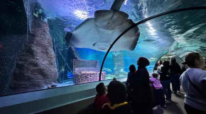 TURİZM REKORU Turistler harcıyor