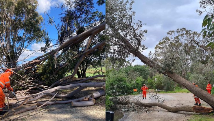 Victoria’da 422 yardım talebi