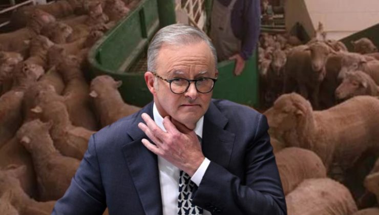 Albanese, Şakasından Dolayı Eleştiriliyor