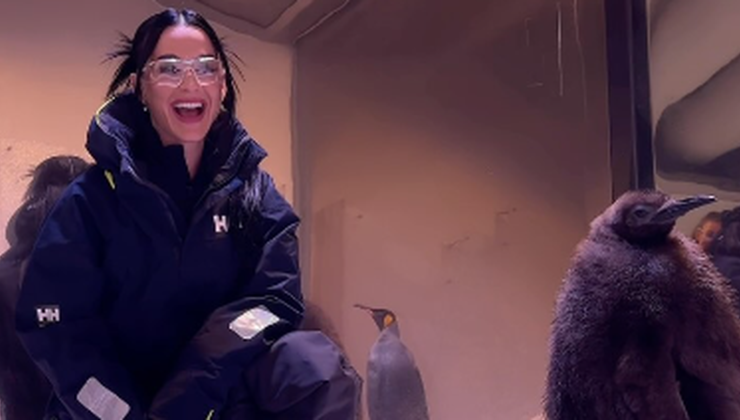 Perry Pesto ile Buluştu