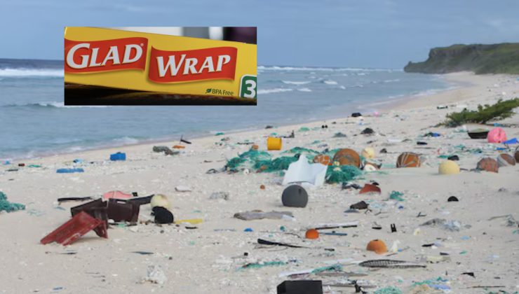 GLAD’a 8,25 Milyon Dolar Ceza