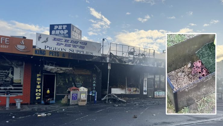 Campbellfield şüpheli YANGINDA Hayvanlar öldü