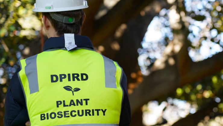 Hyde Park’taki Gölet Alanları Temizlenecek