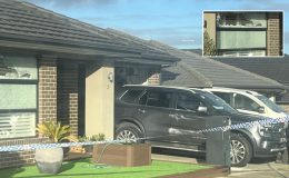 Greenvale’de Aile Evine Kurşun Yağdı