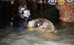 Sydney’in Derin Sularında 80 Kilo Kokain