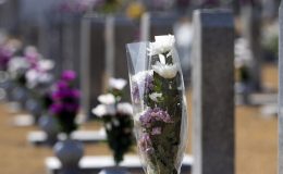 Sydney’de Mezarlık Alanı Krizi