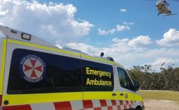 Köpek saldırısı 16 yaşındaki kız ağır yaralı