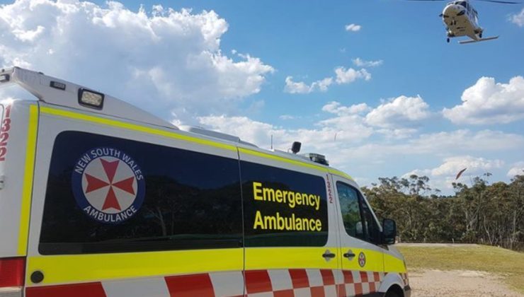 Köpek saldırısı 16 yaşındaki kız ağır yaralı