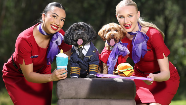 AVUSTRALYA Evcil Hayvanınızla Uçak Yolculuğu Başlıyor!