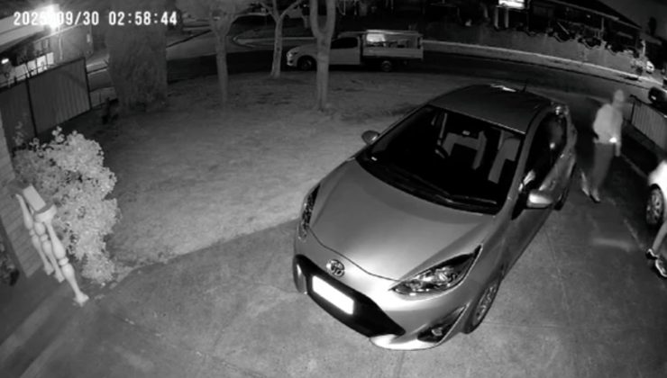 MEADOW HEIGHTS’TE BİR HIRSIZLIK DAHA