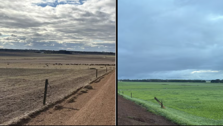 Victoria’da Yağmur Kuraklığa Geçici Çözüm Getirdi